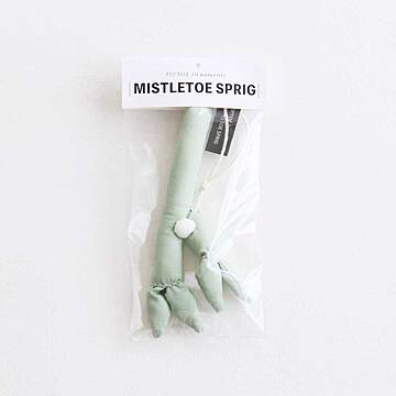 TIPTOE ヤドリギのオーナメント〈ライトグリーン・小枝〉 